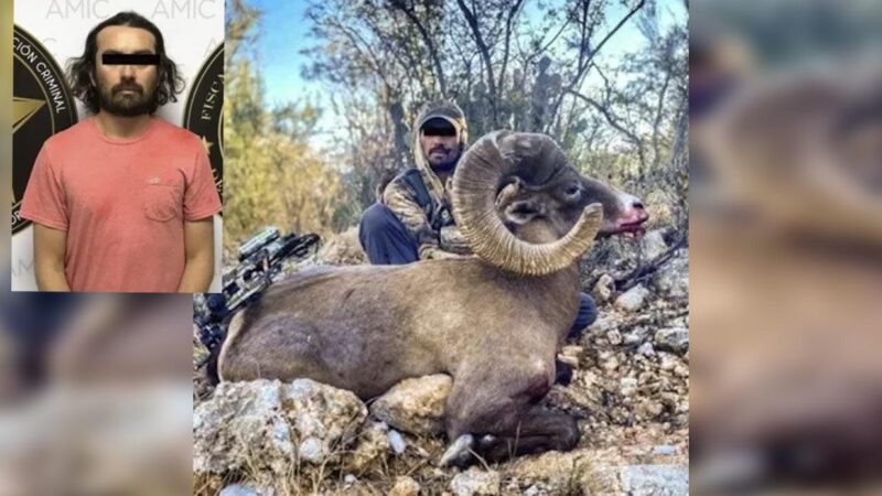 Cazan a cazador extranjero furtivo en Sonora