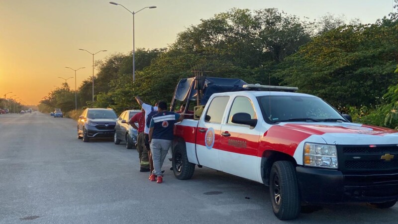 Localizan restos óseos en cenote de colonia de Cancún