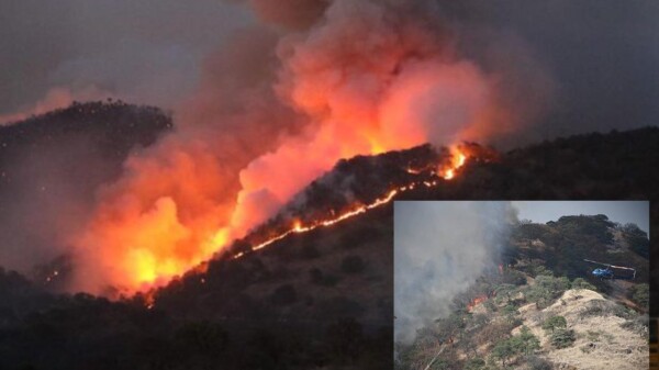 Se incendia Bosque de la Primavera en Guadalajara