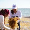 El reto nos pone en acción, Mara Lezama arranca la jornada permanente “Tod@s contra el Sargazo”