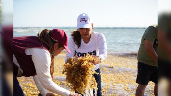 El reto nos pone en acción, Mara Lezama arranca la jornada permanente “Tod@s contra el Sargazo”