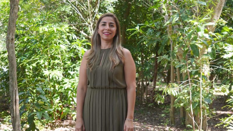 El Tren Maya va en el sureste, no nos detendrán: Marybel Villegas