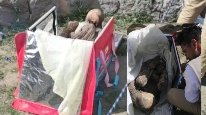 Detienen a repartidor de comida con una momia en su mochila