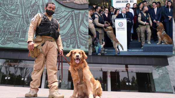 Congreso jubila al perrito Lucas con emotiva ceremonia