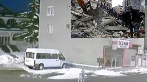 Perrito aullando intenta avisar del sismo en Turquia