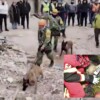 Con emotivo video, relata Sedena historia de Proteo el perrito héroe