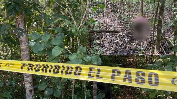 Localizan cuerpo en descomposición en colonia de Cancún