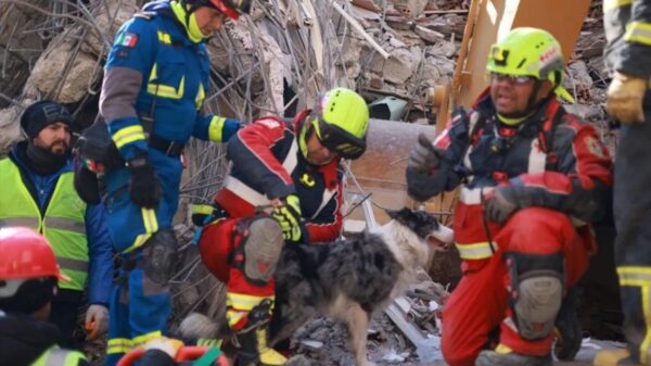 Suma brigada de rescatistas mexicanos 5 rescates con vida en Turquía