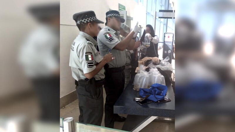 Detiene GN a extranjero en Aeropuerto de Cancún por tráfico de animales