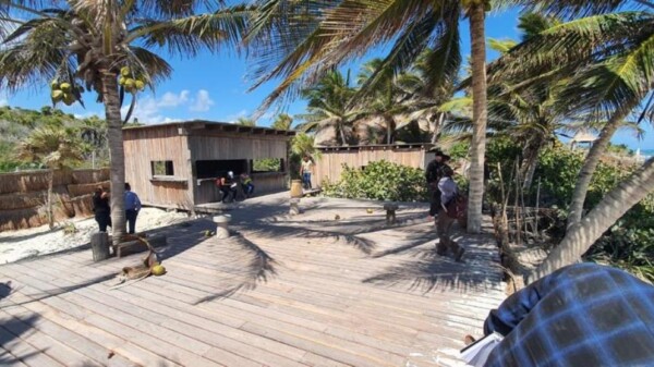 Concluyen cateos en predios dentro del Parque Nacional Tulum.