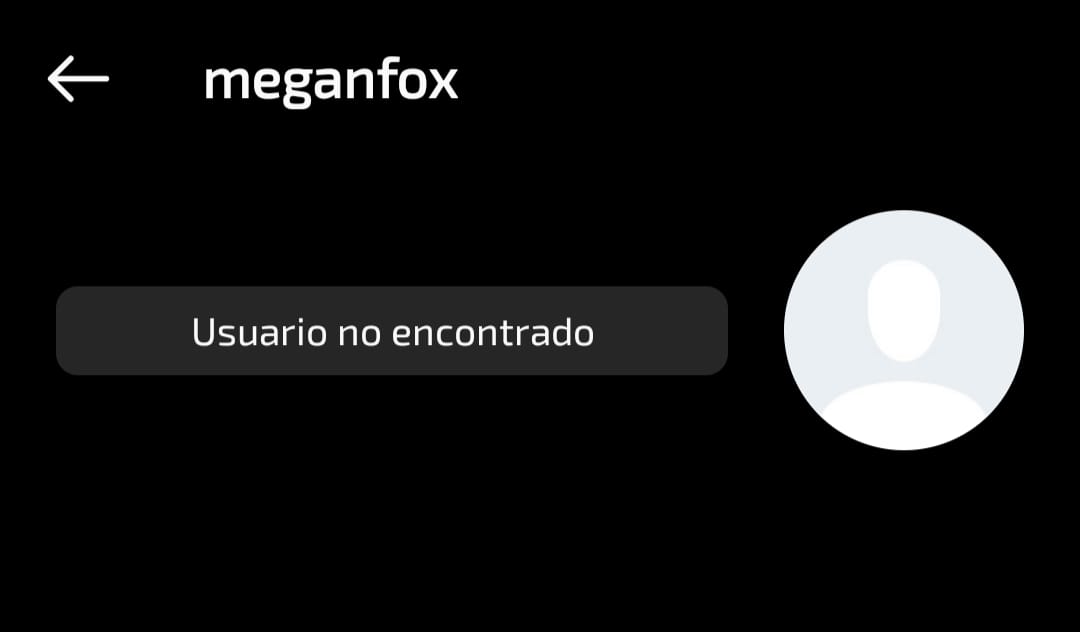 Megan Fox desaparece de instagram ¿Infidelidad? Megan Fox borra las fotos con su novio y desaparece