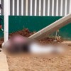 Obrero pierde la vida al ser aplastado por un poste de concreto
