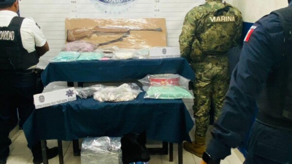 Playa del Carmen: Decomisan 2 mil dosis de narcóticos y un arma en ‘Animalandia Maya’.