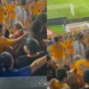 VIDEO: Aficionado de Tigres golpea hombre que cubría a su familia
