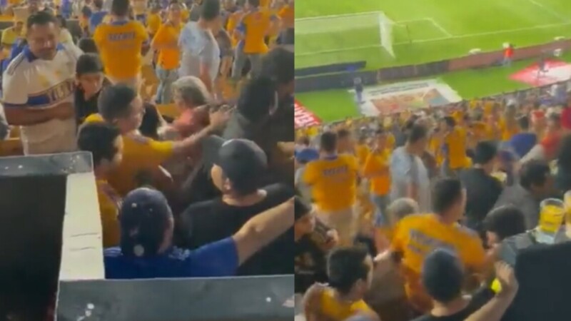 VIDEO: Aficionado de Tigres golpea hombre que cubría a su familia