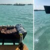 VIRAL: Arman turistas la carnita asada en plena Laguna de Bacalar.