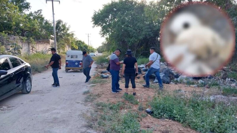 Cancún: Hallan dos cráneos humanos en la colonia El Maracuyá, en la Sm. 248.