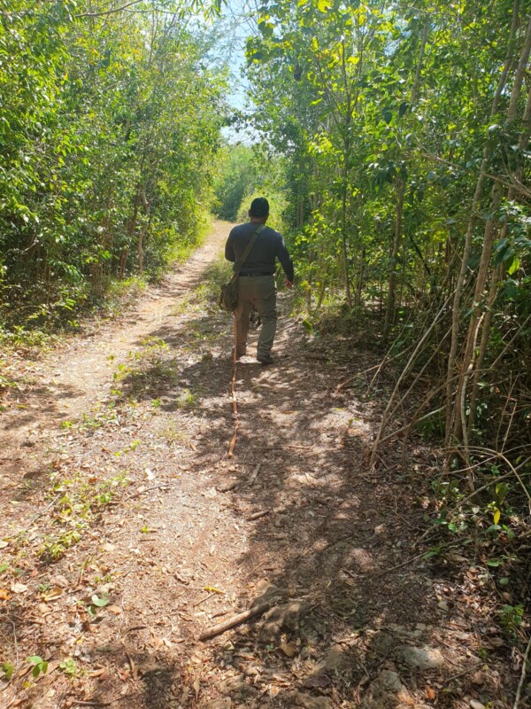 Buscan a personas desaparecidas en terrenos de la delegación Alfredo V. Bonfil; los trabajos se extendieron por varias horas y sin resultados.
