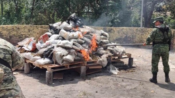 Incinera FGR Quintana Roo narcóticos y destruye objetos del delito