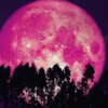 En abril, no te pierdas la hermosa Luna Rosa