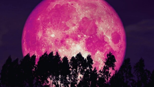 En abril, no te pierdas la hermosa Luna Rosa
