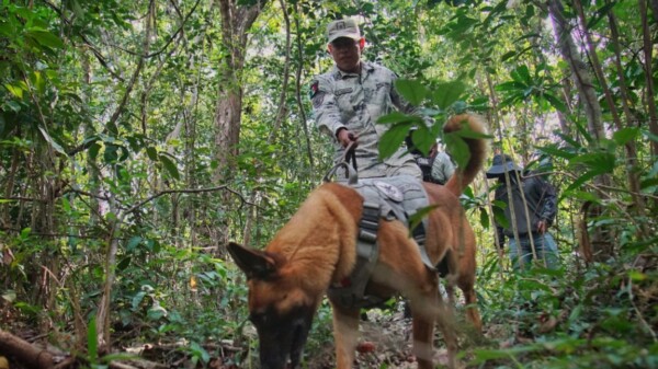Realiza operativo de búsqueda de personas desaparecidas en Cancún.