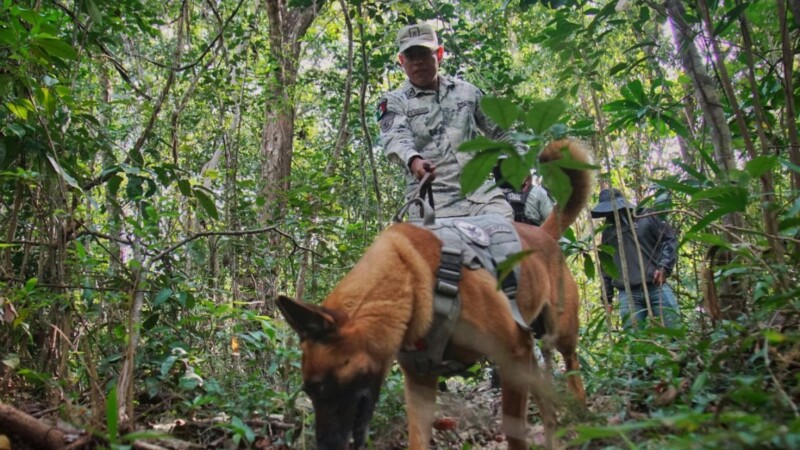 Realiza operativo de búsqueda de personas desaparecidas en Cancún.