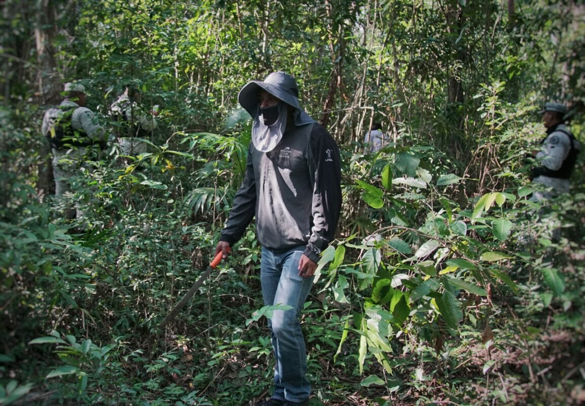 Realiza operativo de búsqueda de personas desaparecidas en Cancún; se llevó a cabo en una zona ubicada en la prolongación de la Kabah.