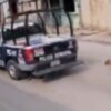 Captan a policias de Chiapas torturando a perrito