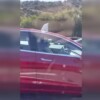 Mujer toma una siesta mientras su Tesla conduce por ella