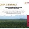 “Gran Calakmul será la segunda reserva tropical más grande del mundo”