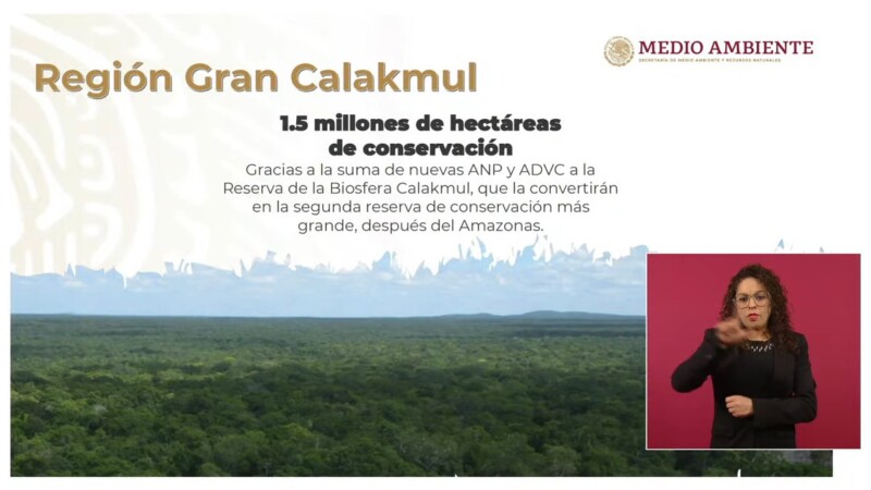 “Gran Calakmul será la segunda reserva tropical más grande del mundo”