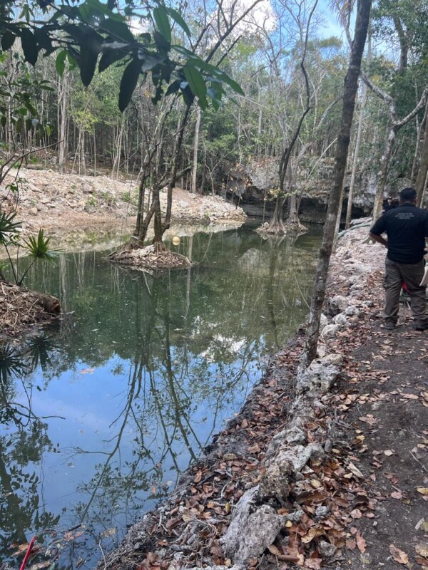 Realiza FGR operativo en desarrollo inmobiliario en la carretera Tulum-Cobá; constatan autoridades diversos daños a la biodiversidad.