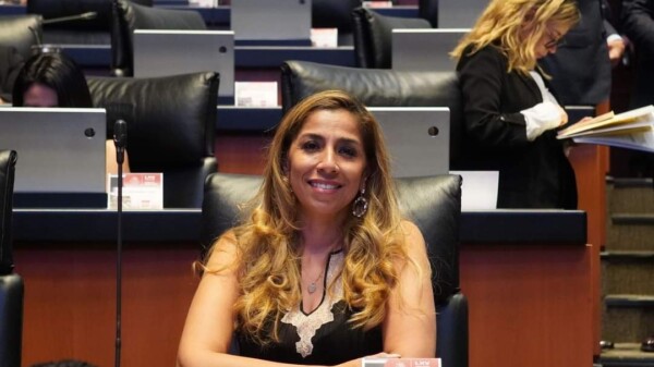 Avala Marybel Villegas protección a menores con Registro Nacional de Deudores Alimentarios.