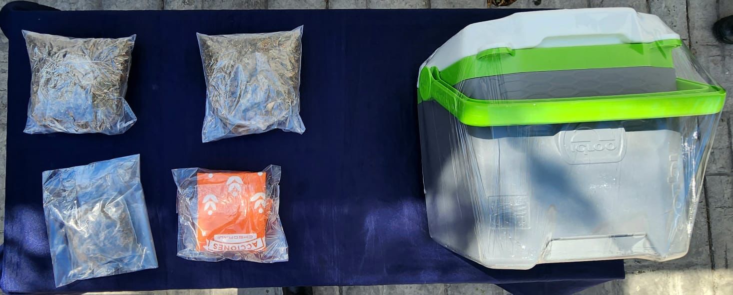 Detienen a una pareja por narcomenudeo en Playa del Carmen; Jorge “N” y Elena “N” escondían en una hielera la droga que vendían.