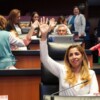 Legisla Marybel Villegas a favor de infantes y adolescentes.