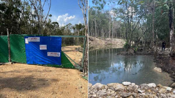 Realiza FGR operativo en desarrollo inmobiliario en la carretera Tulum-Cobá.