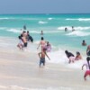 Desmienten ataque de tiburón a turistas en playas de Cancún.