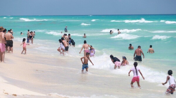 Desmienten ataque de tiburón a turistas en playas de Cancún.