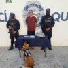 Binomio canino olfatea droga a un pasajero en Playa del Carmen.