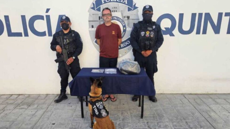 Binomio canino olfatea droga a un pasajero en Playa del Carmen.