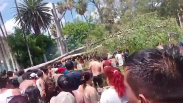 Cae un árbol en alberca y mata a bebé en Guanajuato