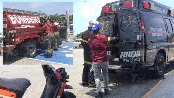 Ataque de abejas causa terror en plaza comercial de Cancún