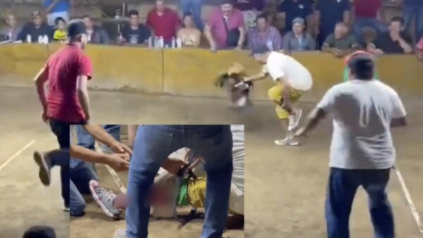 Durante pelea, gallo "navajea" a su dueño en Colima