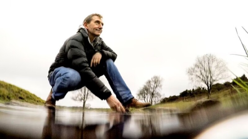 Alerta biólogo, “faltan insectos; en muchas zonas polinizan a mano”