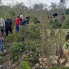 Continúan autoridades y colectivos búsqueda de desaparecidos en Quintana Roo