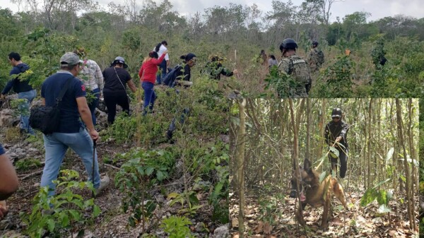 Continúan autoridades y colectivos búsqueda de desaparecidos en Quintana Roo