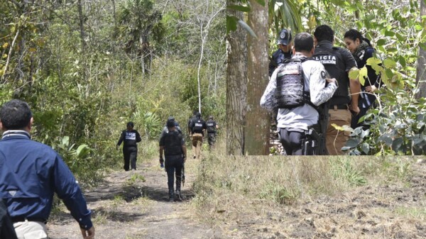 "Peinan" autoridades sur de Quintana Roo en busca de desaparecidos
