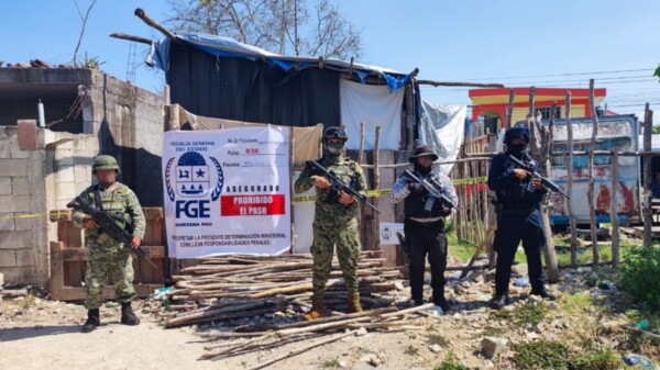 Decomisan drogas durante un cateo en la colonia Jardines de Chetumal.