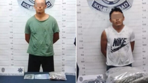 Continúan los decomisos de droga en el Centro de Playa del Carmen.